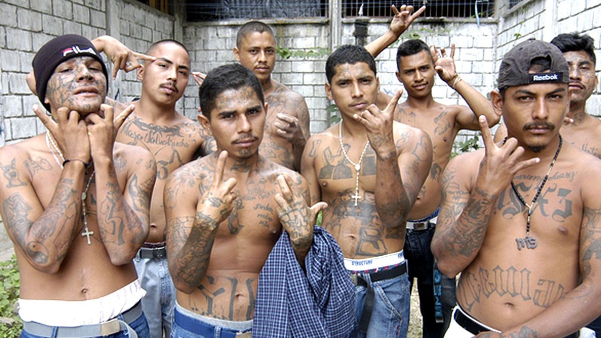 Las 3 medidas aprobadas por El Salvador para combatir a las pandillas
