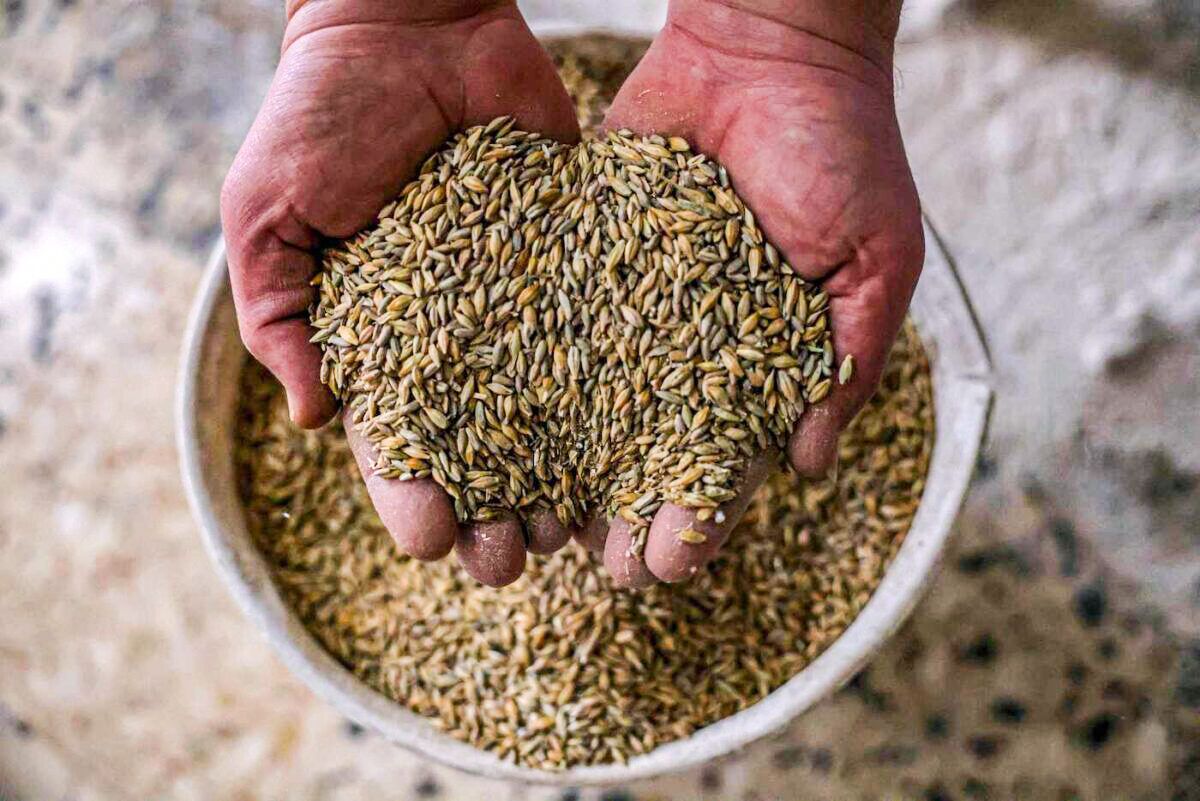 Ucrania y Rusia acuerdan desbloquear la exportación de cereales ucranianos