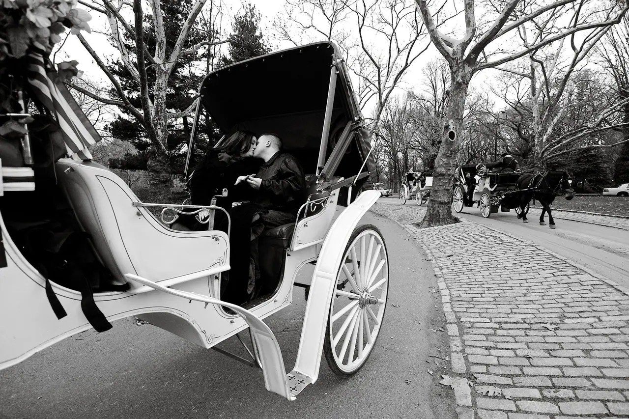 Nueva York: el Concejo Municipal votará mañana la prohibición de los coches de caballos en Central Park