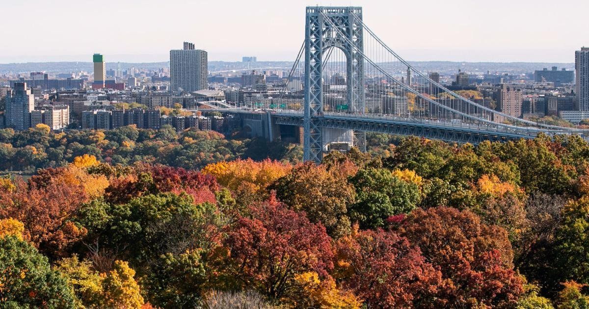 Arrestan a un detective retirado del NYPD por el asesinato del conductor baleado en el puente George Washington