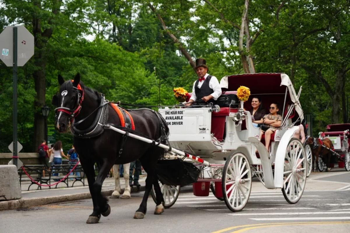 Nueva York aprueba prohibir los carruajes de caballos: el fin de una tradición de más de 150 años en Central Park