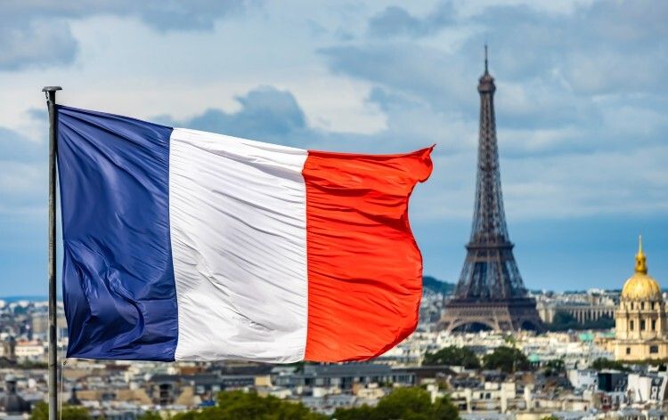 Francia reporta el primer caso humano del virus Shamonda en un paciente de Lyon que falleció